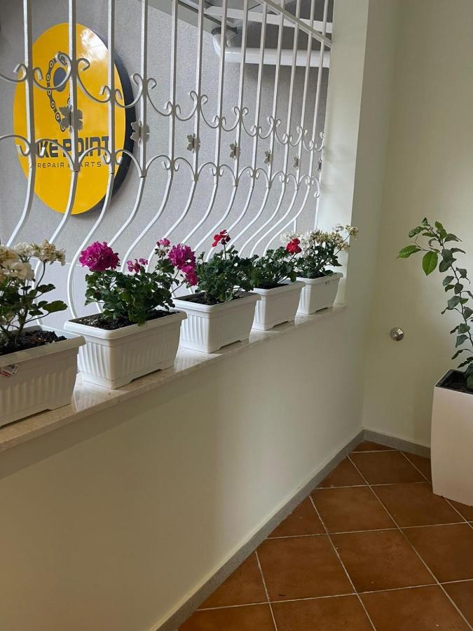 4seasonsgea , Cozy In Position , Appartement Tirana